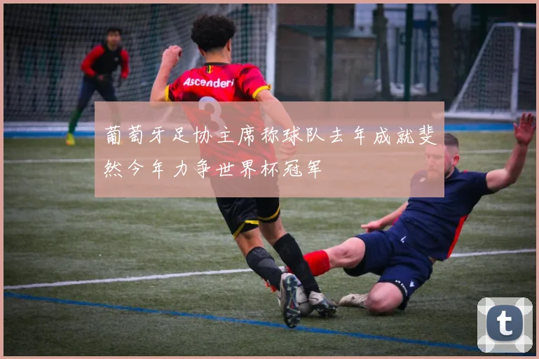 葡萄牙足协主席称球队去年成就斐然今年力争世界杯冠军