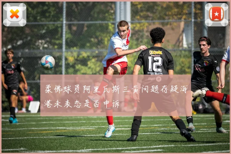 柔佛球员阿里瓦斯三黄问题存疑海港未表态是否申诉
