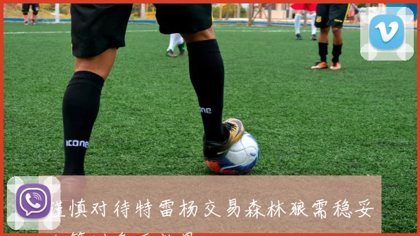 谨慎对待特雷杨交易森林狼需稳妥决策避免反效果