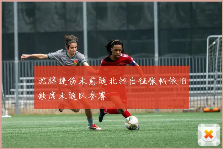 沈梓捷伤未愈随北控出征张帆依旧缺席未随队参赛